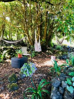 Quinta Pereirinha Farm - A Private 3 Bedroom Vacation Home, Close to Hiking w Ocean Views - Pico Island, Azores - São Roque do Pico - 1