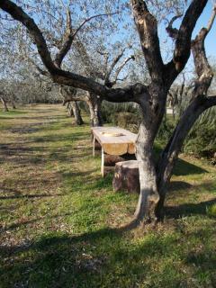 Casa Degli Ulivi - Tivoli - 1