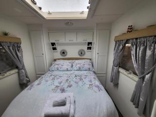 Glamping with Llamas - Wisbech - 4