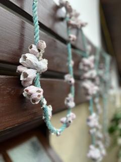 Casa Aconchegante ao Pé da Praia do Portinho - 5