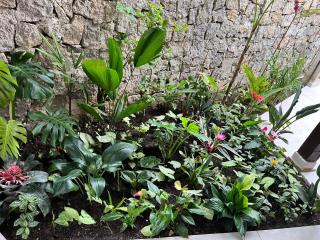 Casa Aconchegante ao Pé da Praia do Portinho - 4