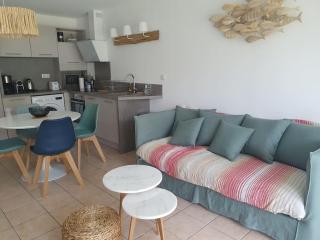 Mignon appartement en résidence avec piscine - Biscarrosse - 0