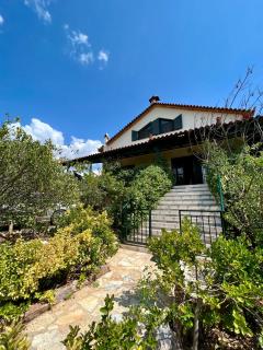 Estate Tsiati - Κτήμα Τσιάτη - Nafplio - 9