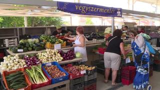 Nyaralóház HANGA - 7