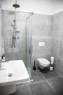 Moderní apartmán uprostřed šumavské přírody - Zdíkovec - 4