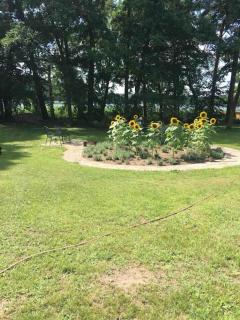 Haus Wilma Grüne Idylle im Wald direkt am See - 1