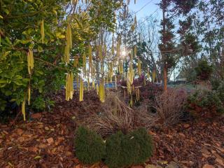 chambre chez l'habitant aux Basses Besnardières - 4