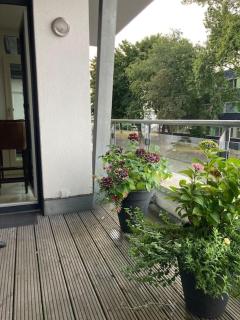 Ferienwohnung in der Nähe von Köln - Frechen - 1