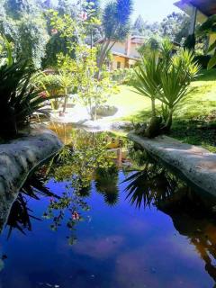 A guesthouse in the blue forest - Campos do Jordão - 4