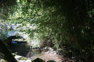 Les Hiboux - Castelnau-Durban - 1
