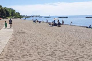 Cozy Cottage 10 mins to DTWN CLE Free Parking - Euclid - 5