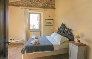Nocciolo - Fivizzano - 7