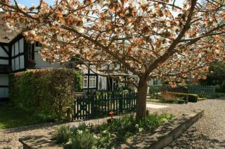 Peel Cottage, Dilwyn - Dilwyn - 9