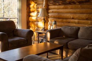 Cozy Lake Loj + Hot Tub & Fire Pit - 7