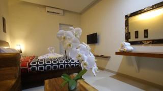 Rai House Sanur - 3