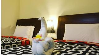 Rai House Sanur - 2