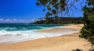 Ocean Dream - Tangalle - 0