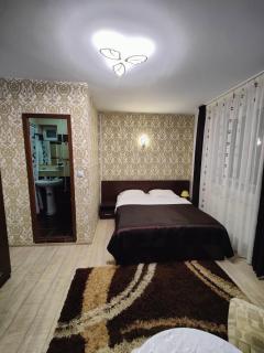 Casa Adina - Sinaia - 3