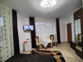 Casa Adina - Sinaia - 4