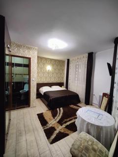 Casa Adina - Sinaia - 6