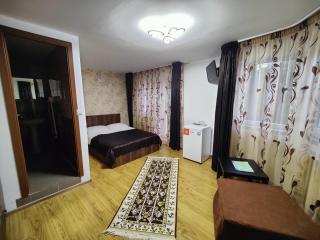 Casa Adina - Sinaia - 8