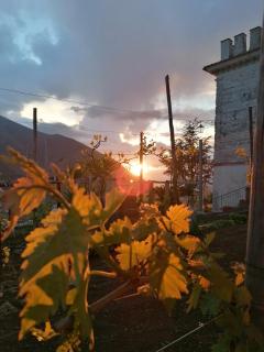 La Torretta Bianca - 3