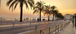 Le Grand Bleu - Nice - 0