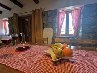 Ruralna kuća za odmor VILLA POŽUN - 1