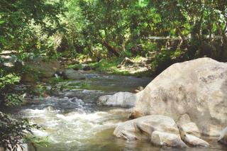 Sweet Harmony Hotel Boutique by Xarm Hotels - 2