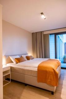 Sunny Terras, Cozy in the dunes - 9