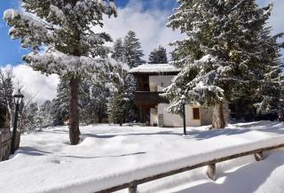 Villa al Campo - Madonna di Campiglio - 3