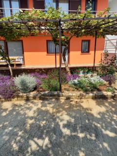 Apartman Ljiljana - Pula - 7
