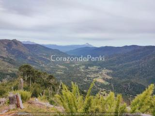 Corazon de Panki - 6