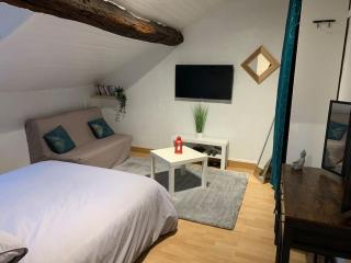 Hyper centre historique emplacement n°1 #Cocooning - Nantes - 3