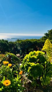 Vue mer panoramique et piscine - Bandol - 5