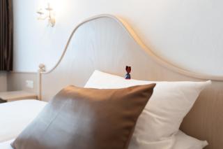 Hotel Eisensteiner Hof - Bayerisch Eisenstein - 7