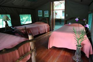 Rafiki Safari Lodge - Savegre - 2