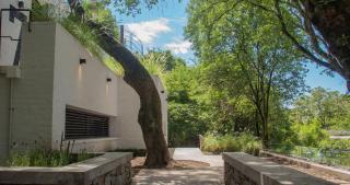 Monte Refugio Urbano - 4