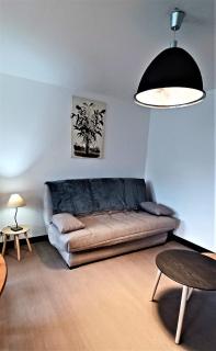 Gite de la Renne - Saint-Romain-sur-Cher - 4