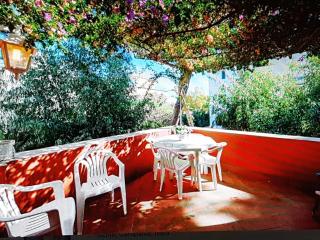 Elegante e centralissimo appartamento in villa - Ischia - 0