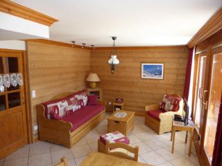 T3 Confortable - Grand Balcon Sud - Près Téléphérique, Commerces & Animaux Admis - FR-1-464-67 - Pralognan-la-Vanoise - 7