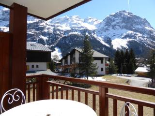 T3 Confortable - Grand Balcon Sud - Près Téléphérique, Commerces & Animaux Admis - FR-1-464-67 - Pralognan-la-Vanoise - 2