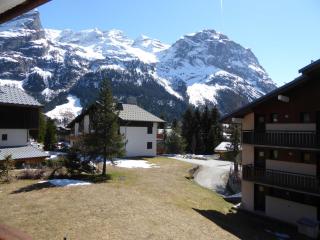 T3 Confortable - Grand Balcon Sud - Près Téléphérique, Commerces & Animaux Admis - FR-1-464-67 - Pralognan-la-Vanoise - 1