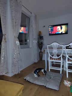 Apartment Golden Sun Mareda Novigrad, Istria, Croatia - 5