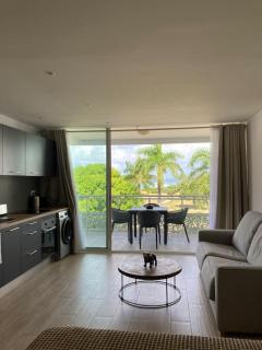 Beau studio vue mer Anse Marcel - Anse Marcel - 5