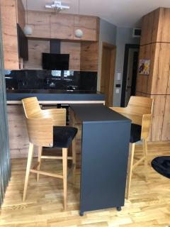 Studio Art Lux&Spa - Zlatibor - 1