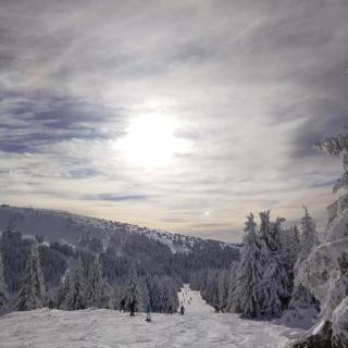 Ljubica - 5