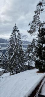 Chalet Yvonne - Borca di Cadore - 7