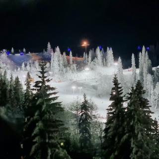 D&D Apartman Jahorina - Jahorina - 0