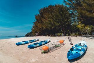 Ara Dinawan Island Resort - Papar - 9